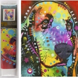 7D gyémántfestés – kutyatekintet 30 × 40 cm