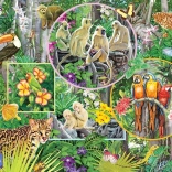 Családi puzzle – Az őserdő varázsa, 350 darab COBBLE HILL