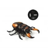 RC szarvasbogár infrás vezérléssel