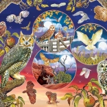 Cobble Hill Bagoly varázsa 1000 darabos Puzzle