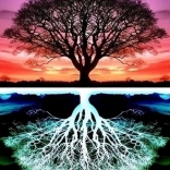 Gyémánt festés Fa 30x40 cm