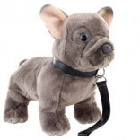 Plüss francia bulldog pórázzal 23 cm