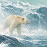 Puzzle – Lazacra leső jegesmedve, 500 darab