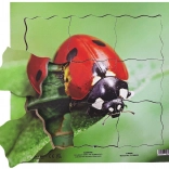 Just Jigsaws Fa réteges puzzle Katicabogár és életciklusa 19 darab