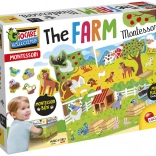 Montessori játék: Farm