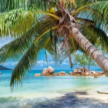 Trópusi tengerpart kirakó 1000 darabbal