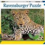 RAVENSBURGER puzzle – leopárd, 100 darabos