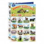 Pexeso Háziállatok