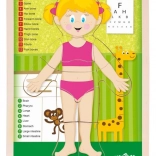 Woody kétoldalas puzzle – emberi test, lány (angolul)