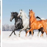 Gyémántfestés Ló trió 30x40cm