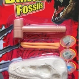 Plejo dinoszaurusz kövületek – dinoszaurusz-csontváz ásatási készlet