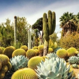 1000 darabos puzzle – Huntington sivatagi kert, USA