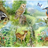 Puzzle Természet tanulmány 250 darabos