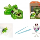 Fedezd fel a béka boncolását – oktatókészlet nyállal