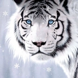 Kristályszemek Puzzle 500 Darabbal