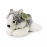 plüss fekvő husky 20 cm eco friendly