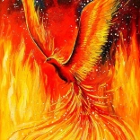 Főnix Puzzle 1000 darabos