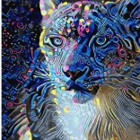 Norimpex gyémántfestés oroszlánné 30x40 cm