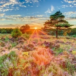 Puzzle Naplemente a hanga réten 1000 darab