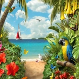 Puzzle ENJOY Felfedezés – 1000 darab