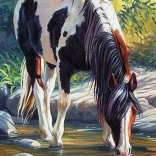 Gyémántfestés Ló a folyóban 30x40 cm