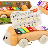 Oroszlán Cintányérok Kerekeken Gyerek színes oktató eszköz