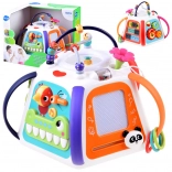 Interaktív oktató multikocka HOLA