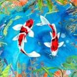 Puzzle Csak ússz tovább 1000 darab