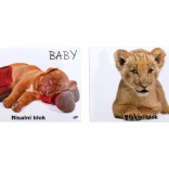 Akvarell rajzlap A3 Fiatalok számára