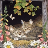 Cobble Hill nővérek 500 darabos kirakó