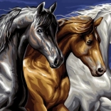 Gyémántfestés Vad trió 30 × 40 cm