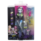 Monster High Frankie Stein baba kiegészítőkkel