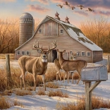 COBBLE HILL puzzle téli vidéki út 1000 darab