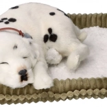 Élethűen lélegző dalmata PERFECT PETZZZ – örökbefogadásra