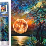 Gyémántfestés Színes telihold a tó felett 30x40 cm