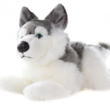 Plüss husky 34 cm