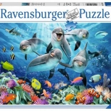 Puzzle 500 darabos – delfinek RAVENSBURGER