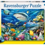 Ravensburger Cápazátony puzzle
