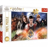 Puzzle HARRY POTTER – 300 darabos
