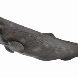 Bálna a Collecta kollekcióból