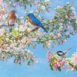 Puzzle Virágfesztivál XL 275 darab Cobble Hill-tól