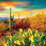 Eurographics Puzzle Sivatagi álmok 1000 darab