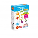 Iskolai játék - Gyümölcsök és Zöldségek