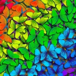 Szivárványos pillangók puzzle 1000 darab