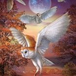 Puzzle Éjszakai baglyok 1000 darab ART PUZZLE