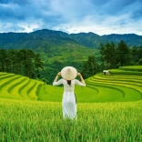 1000 darabos puzzle Vietnami rizsteraszok