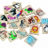 Detoa fa memóriakártya állatkerti