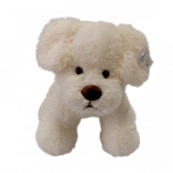 Krémes plüss kutyus