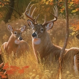 Puzzle Titkos találka XL 275 darab COBBLE HILL