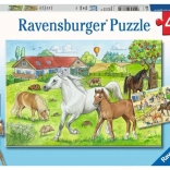 RAVENSBURGER Puzzle Az istállókban 2x24 darab